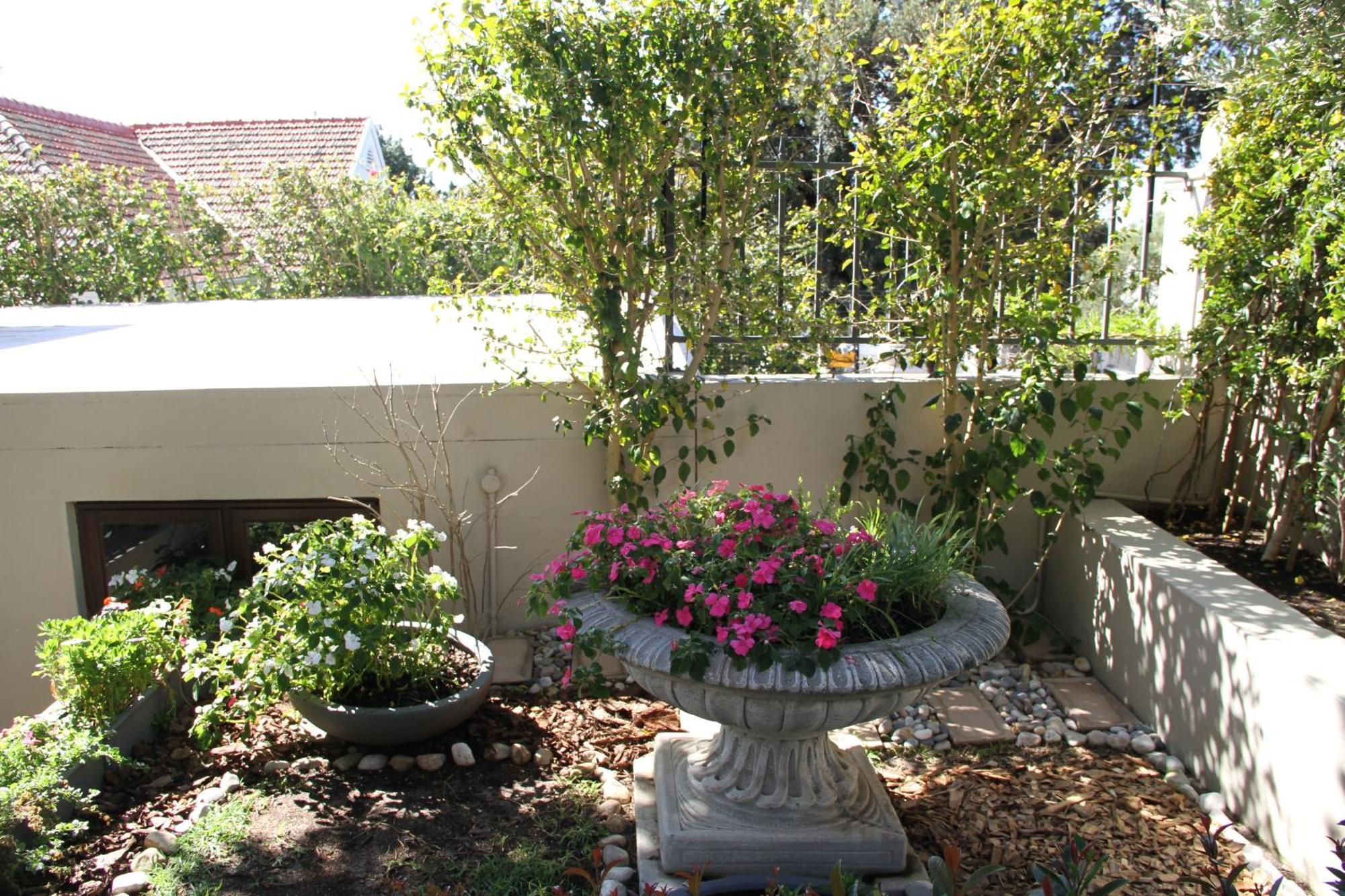 Buxton Villa, Oranjezicht * Cape Town